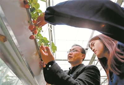 全智技术赋能教育创新 《中国教育报》电子版引领未来学习新生态